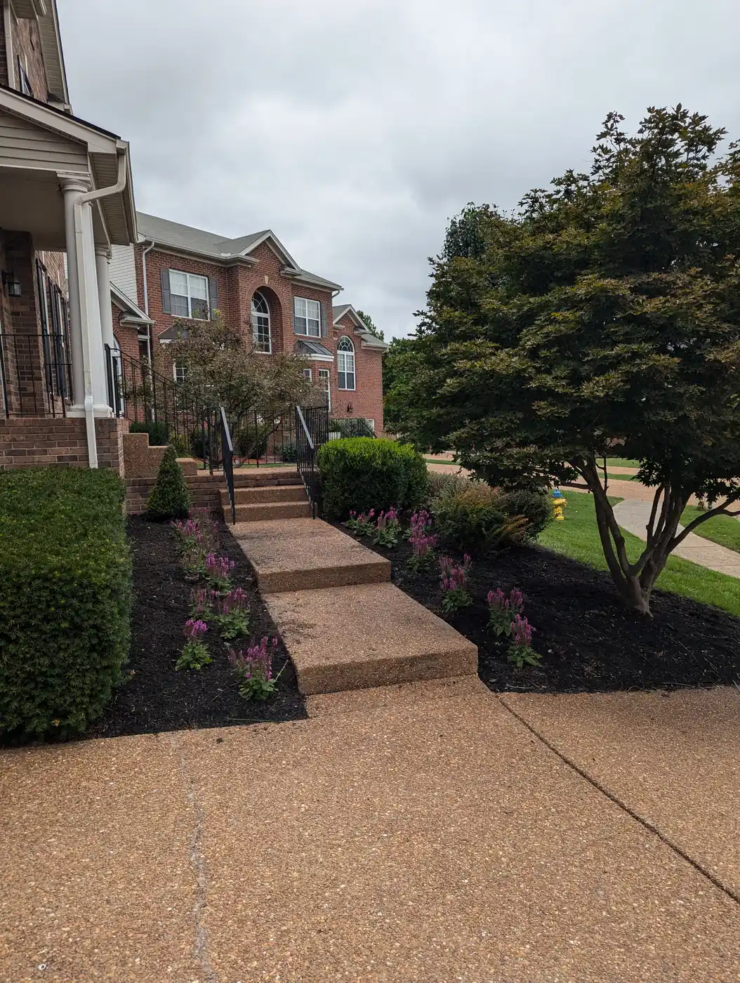 Boxwood and perennial beds lining the front walkway of a brick home in Nashville, TN