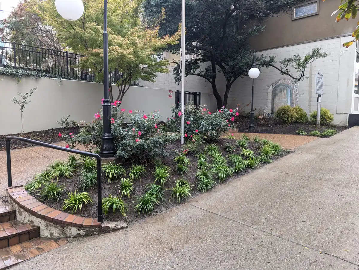 Curbside planting bed with roses and shrubs around a lamp post in Nashville, TN