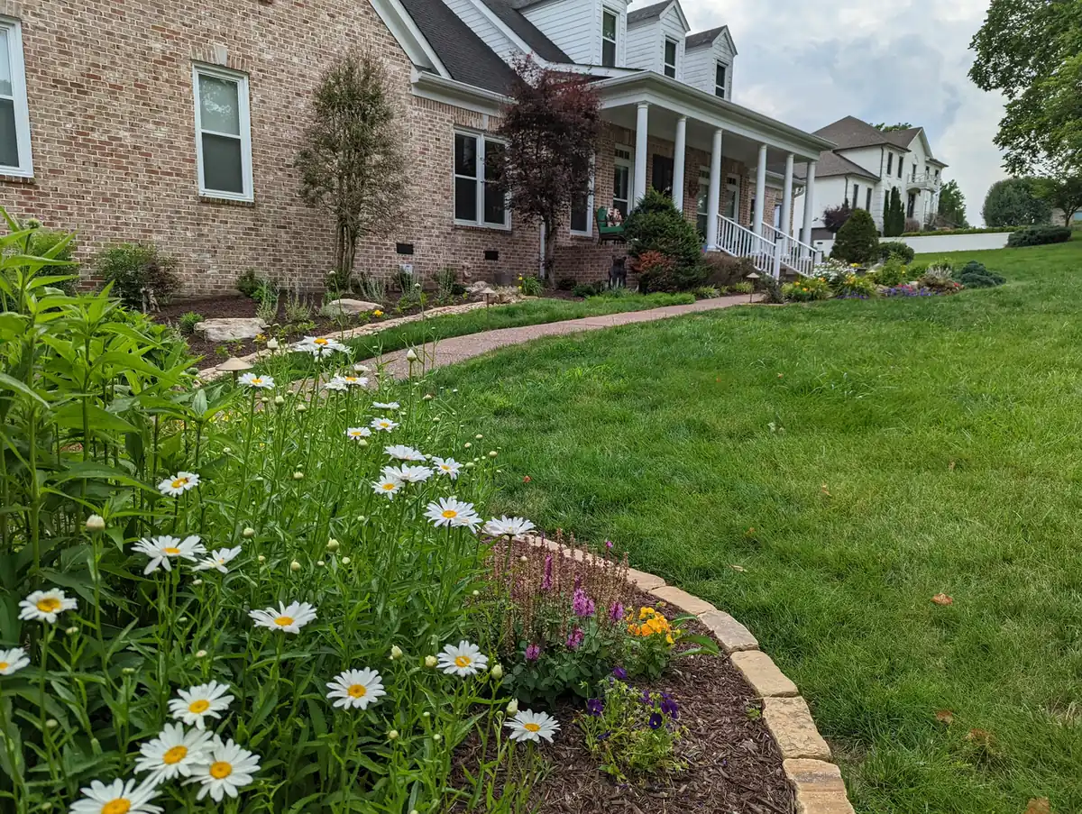 Curved walkway through a wildflower and daisy bed beside a brick home in Nashville, TN