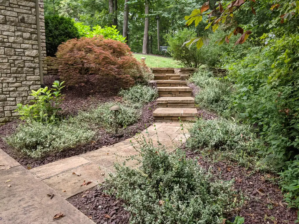 Flagstone steps winding through a shaded garden with new groundcover in Nashville, TN