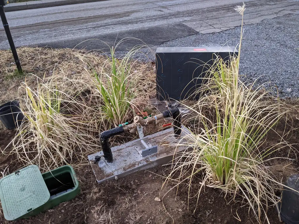 Irrigation backflow preventer and valve box among ornamental grasses in Nashville, TN