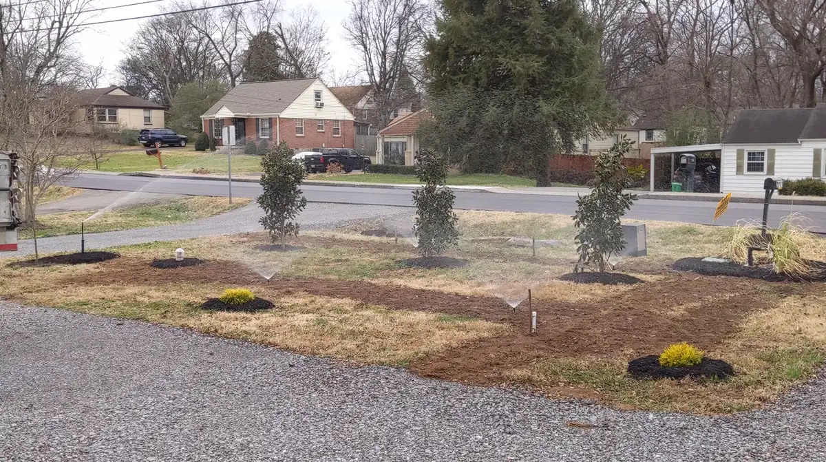 New irrigation zones staked around freshly planted trees in a front yard in Nashville, TN