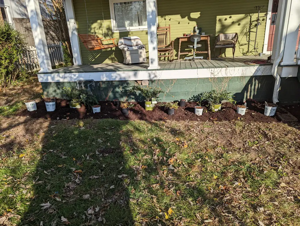 Potted perennials staged along a porch foundation before planting in Nashville, TN